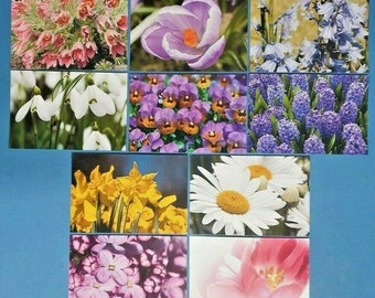 50 NEUE Frühlingsblumen Postkarten 10 Designs für Postcrossing Postkartenvonkindness