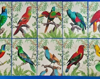 Set of 14 NEW Art Tropical Bird Postcards, Postcrossing, Postcardsofkindness QG2