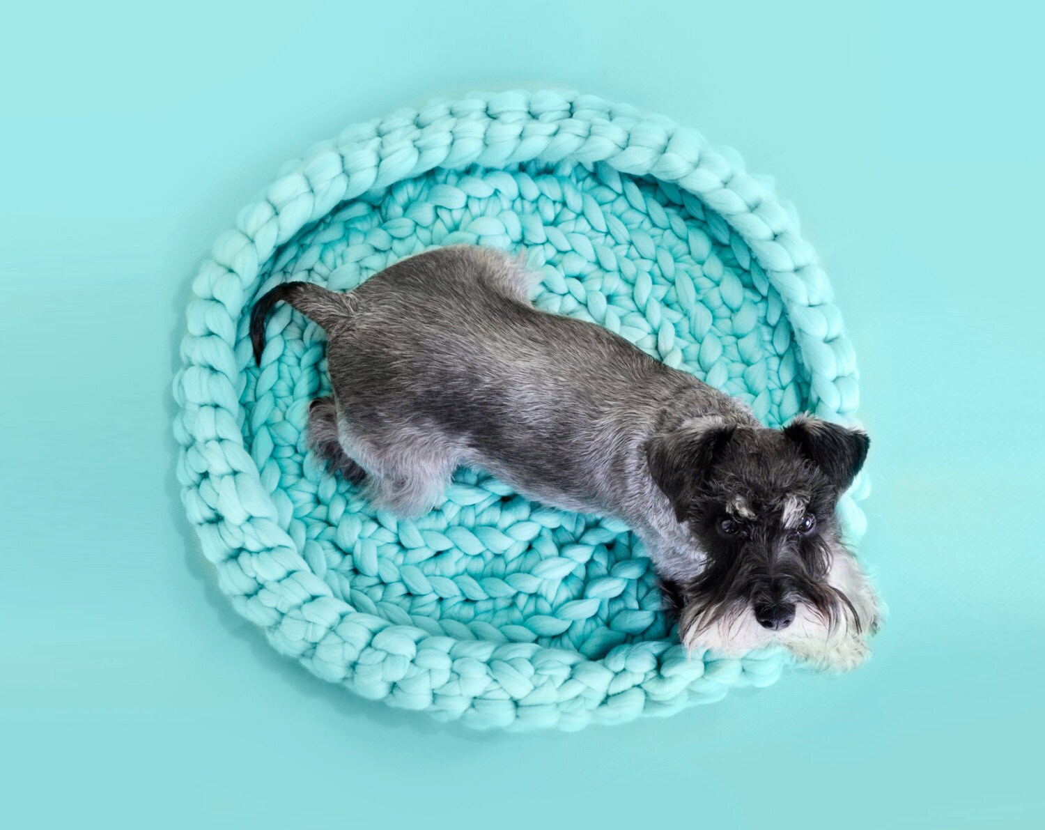 Pet bed. Cozy mat for dog or cat. Many sizes and colors. 23 Etsy