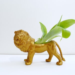 Gold Lion Planter / Lion Animal Planter / Home Storage Décor / Succulent Pot / Air Plants / Golden Lion Planter / Lion Lover Accessory Gift