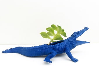 Blue Crocodile Planter / Aussie Crocodile Planter / Home Storage Décor / Succulent Pot / Air Plants / Blue Aligator Planter / Accessory Gift