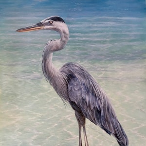 Blue Heron, Heron, Grey Heron Art, Tropical bird, the south, Native Birds, Wall Art, Bird Art, Beach Decor, Heron Wall Art, Ocean