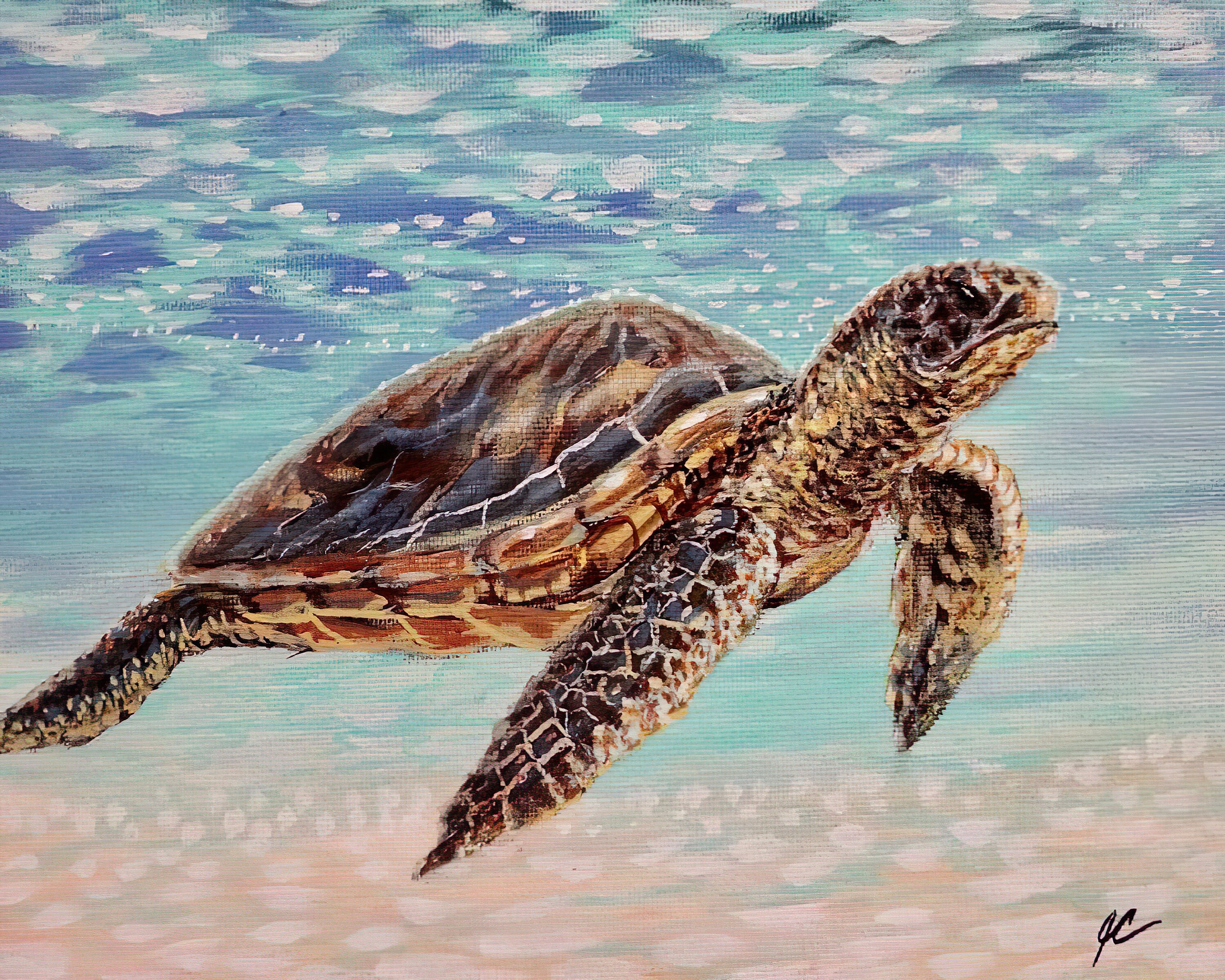 Buy Sea Turtle Sea Turtle Art Sea Turtle Painting Sea Turtle Online In India Etsy