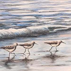 Sandpiper, Sandpipers, Beach Art, Beach Decor, Beach, Shoreline, Birds, Ocean, Acrylic Painting,