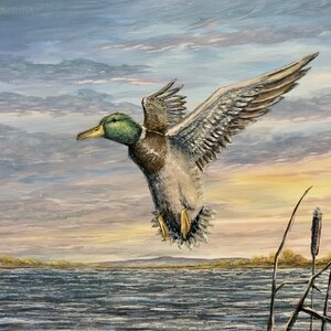 Wood Duck, Duck, Duck Art, Duck Painting, Duck Decor, Acrylic Duck Painting, Wall Art, Wall Decor, Digital Download, Wildlife, Nature