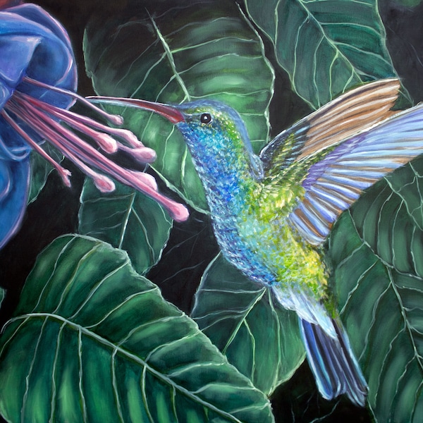 Hummingbird Art Etsy
