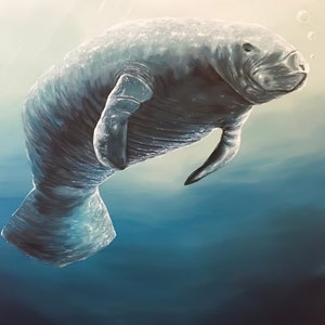 Manatee, Manatee Art, Manatee Painting, Manatee Wall Decor, Manatee Art Decor, Wall Art, Wildlife, Digital Download, Manatee Underwater