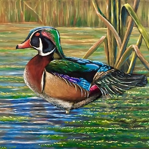 Wood Duck, Duck, Duck Art, Duck Painting, Duck Decor, Acrylic Duck Painting, Wall Art, Wall Decor, Digital Download, Wildlife, Nature