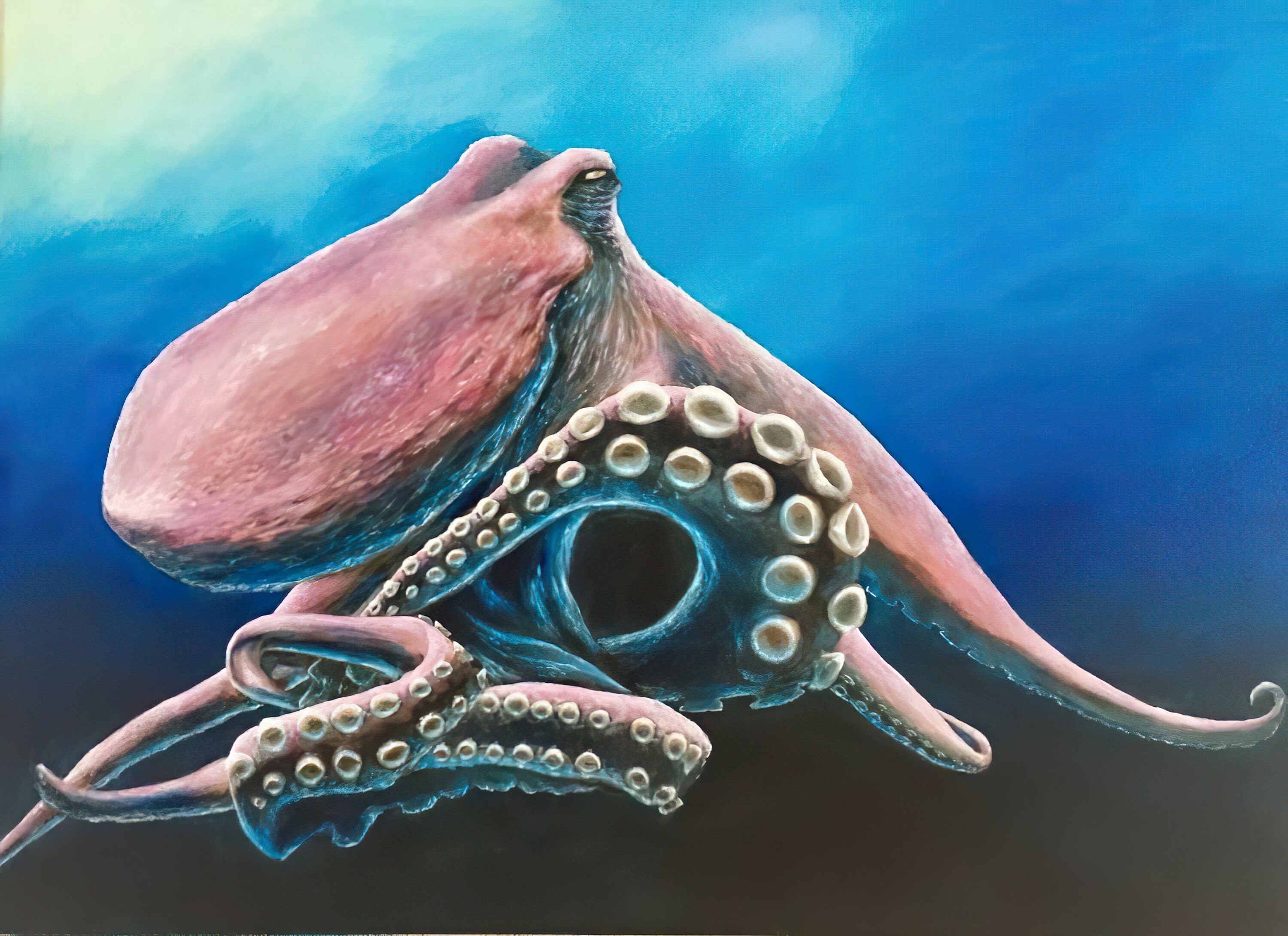 Octopus Octopus Painting Octopus Art Octopus Print Octopus Etsy