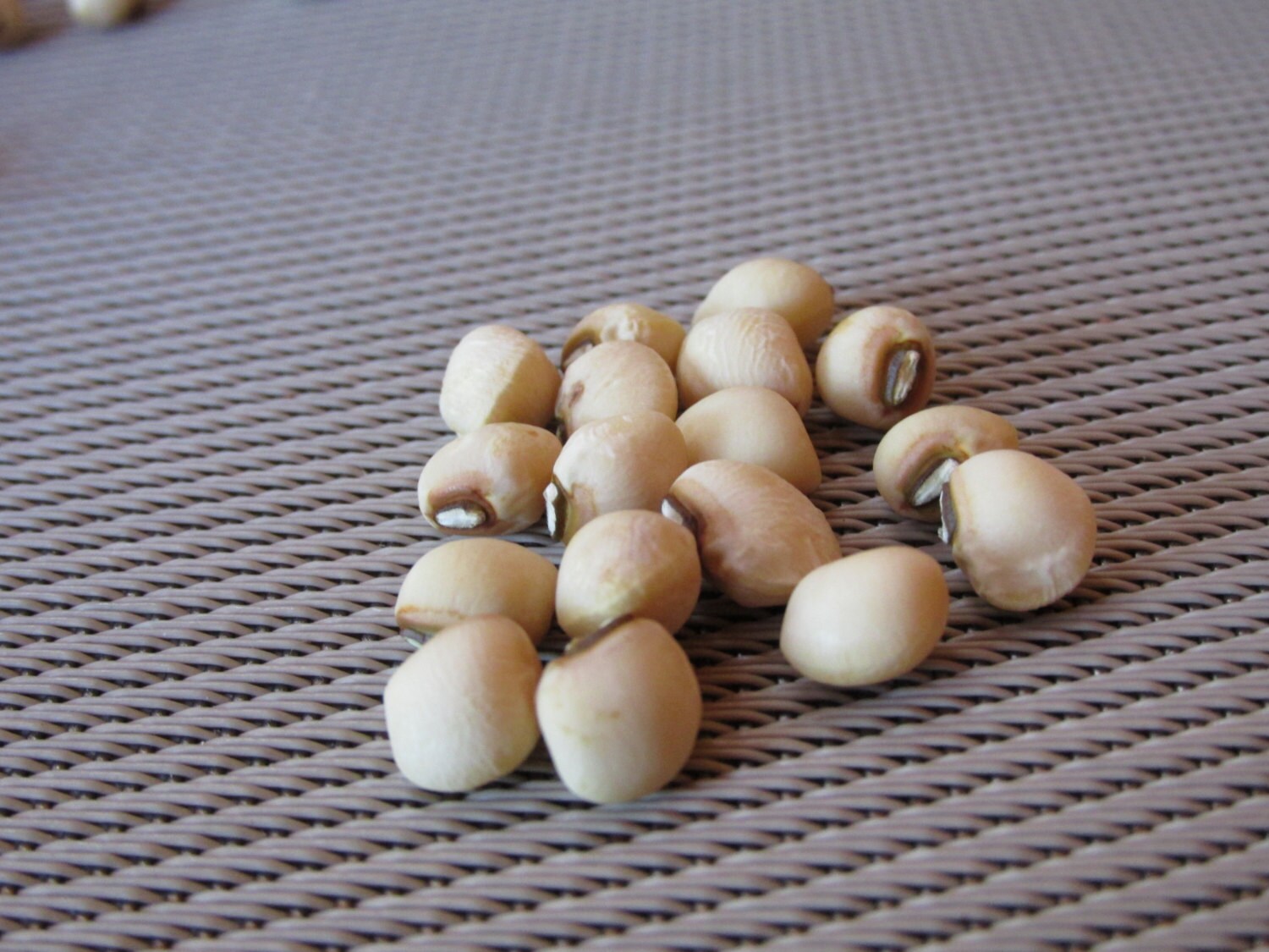 TENNESSEE WHITE CROWDER pea seeds pkt 100 seeds Etsy