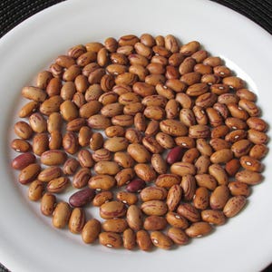 Cranberry Bean - Heirloom Dried Bean - 100 Seeds/pkt.