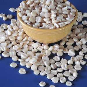 HICKORY KING CORN - Old Time Southern Favorite - Heirloom - Untreated Seeds - 50 seeds/pkt.