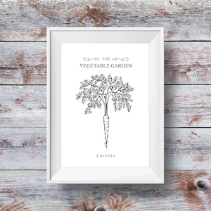 Vegetable garden print, carrot print, garden art, farm print, botanical print, printable art, digital download, instant download