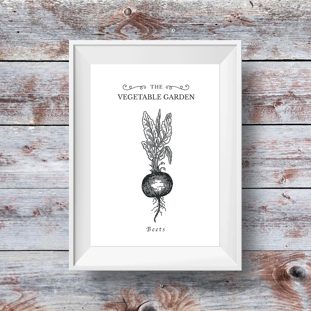 Vegetable Garden Print, Beet Print, Garden Art, Farm Print, Botanical ...