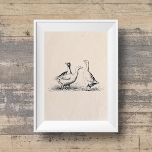 Vintage Goose Sketch Print: Rustic Farmhouse Wall Art (Digital Download)