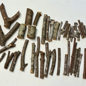 Wood Scrap Bundle Small to Mini 45pc Natural Maple Tree for Crafts, Projects, DIY