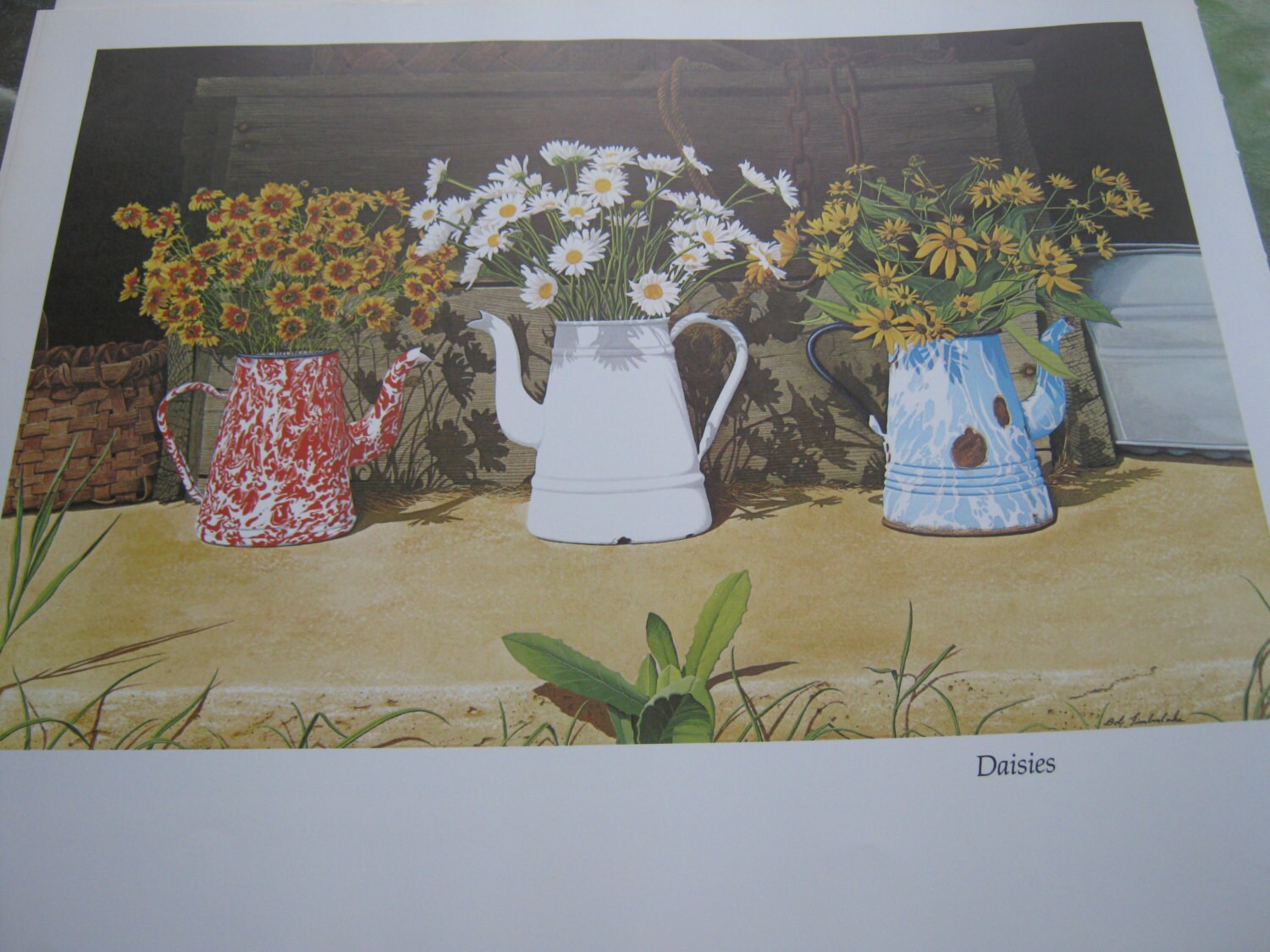 Daisies by Bob Timberlake from the book The World of Bob Etsy