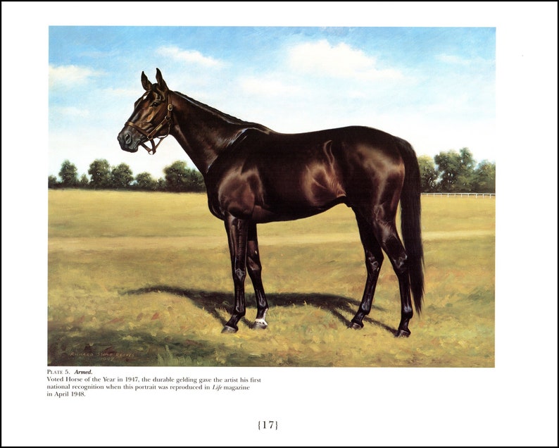Armed Painted By Richard Stone Reeves Race Horses Thoroughbreds Horse Racing Famous Race Horses15 Inches Wide And 12 Tall - 