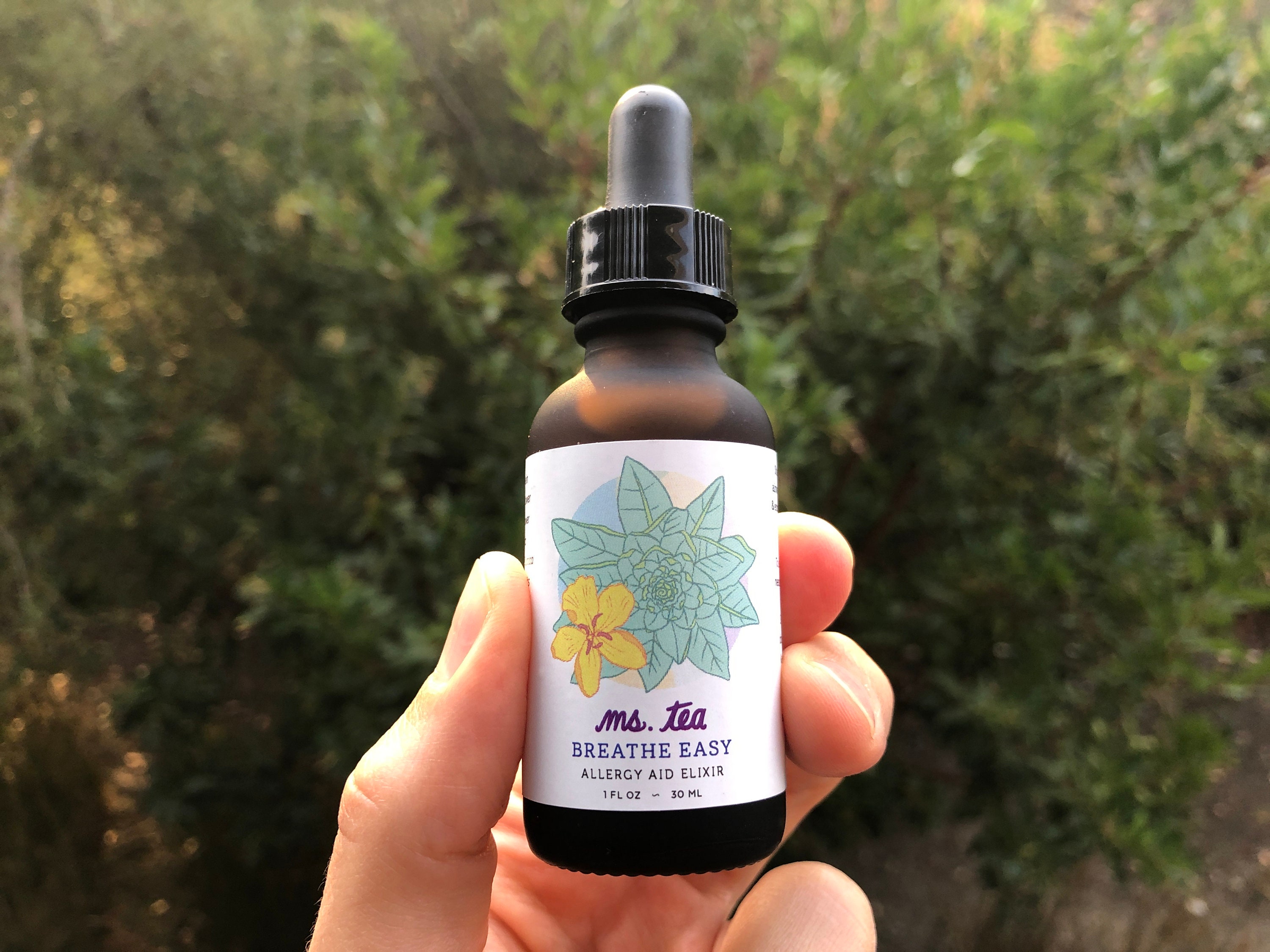 BREATHE EASY ELIXIR Mullein Elderflower Goldenrod Hyssop Etsy