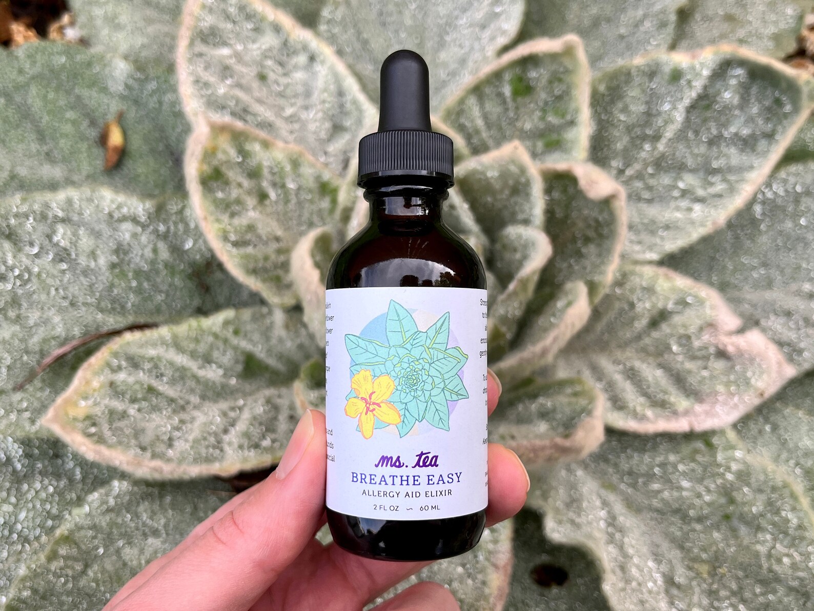 BREATHE EASY ELIXIR Mullein Elderflower Goldenrod Hyssop Etsy