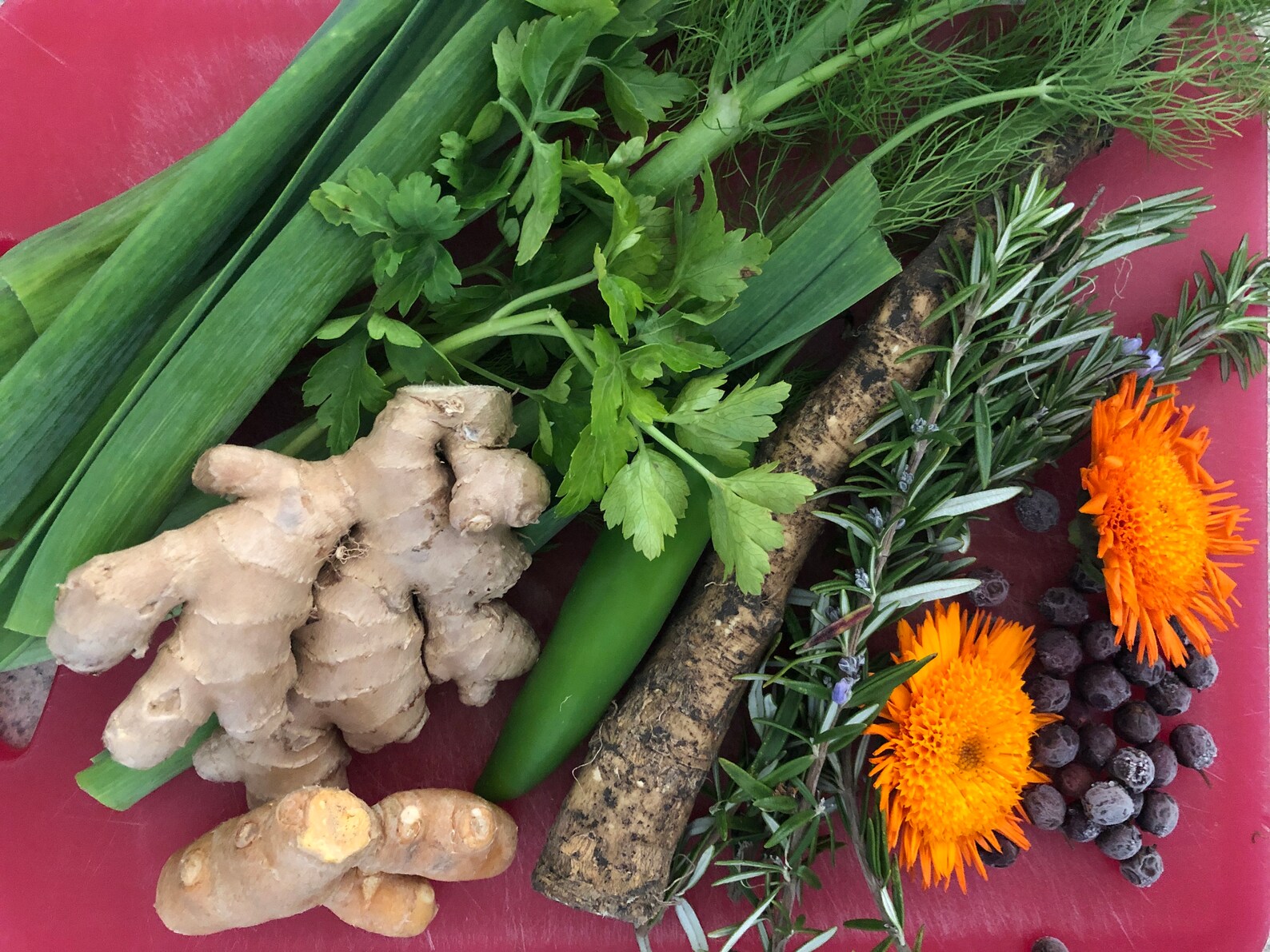 BURNING FLAME Fire Tonic Oxymel Ginger Turmeric Etsy