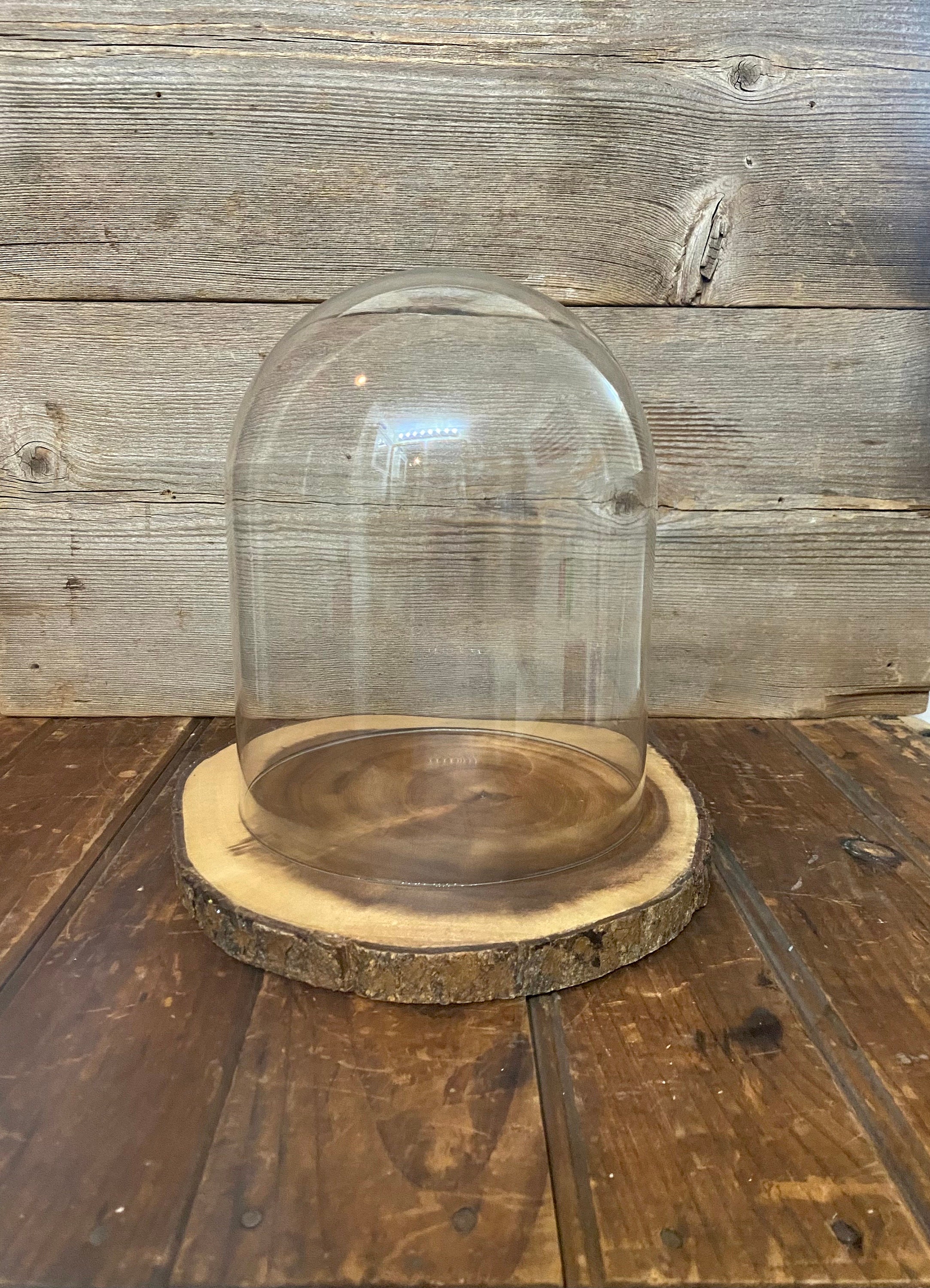 glass dome and base base - Silver Leaf Brown