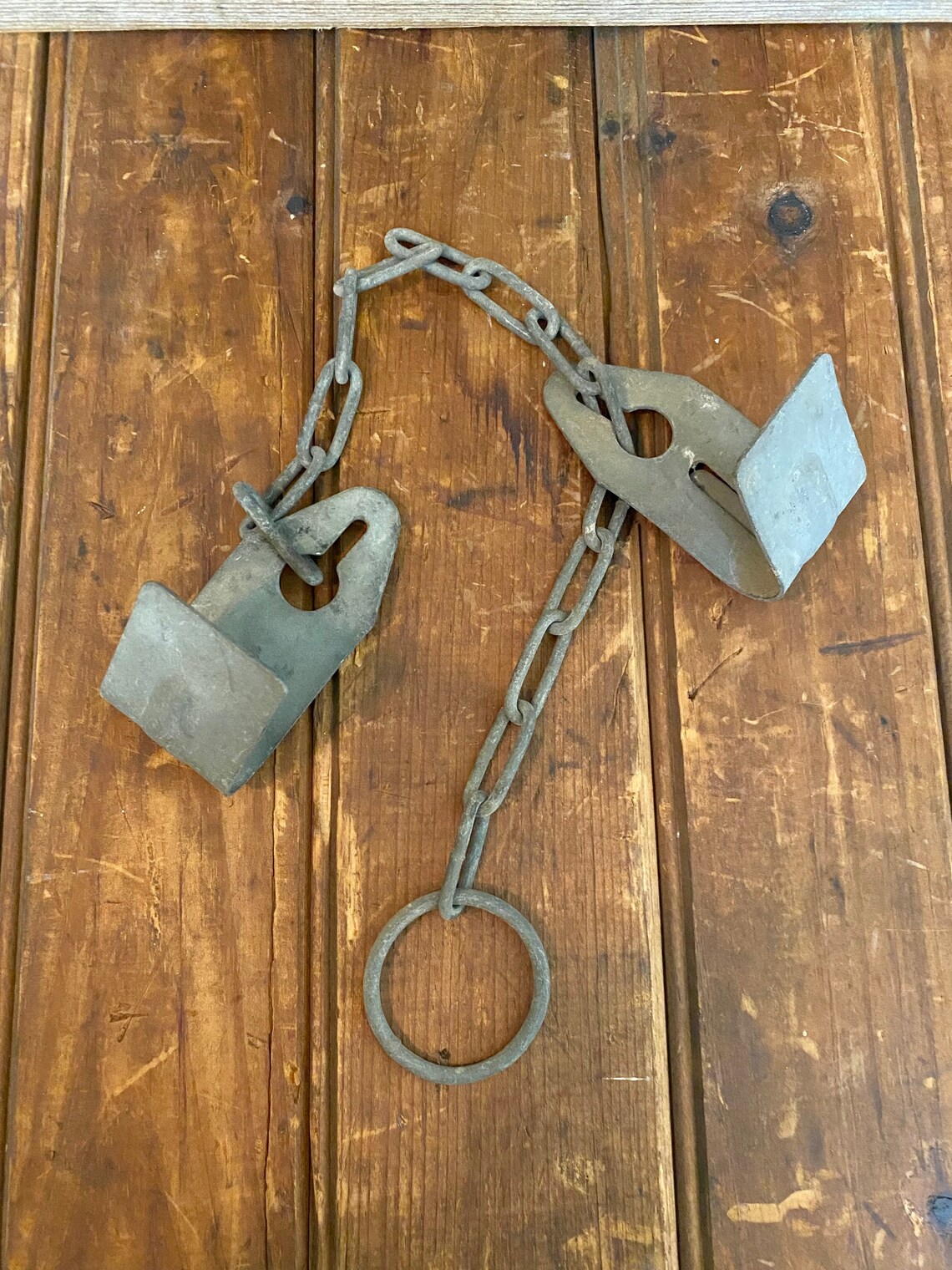 Vintage Cow Hobble Vintage Cow Kicking Hobble Vintage Milk Etsy Vintage Cow Hobble Vintage Cow Kicking Hobble Vintage Milk Etsy