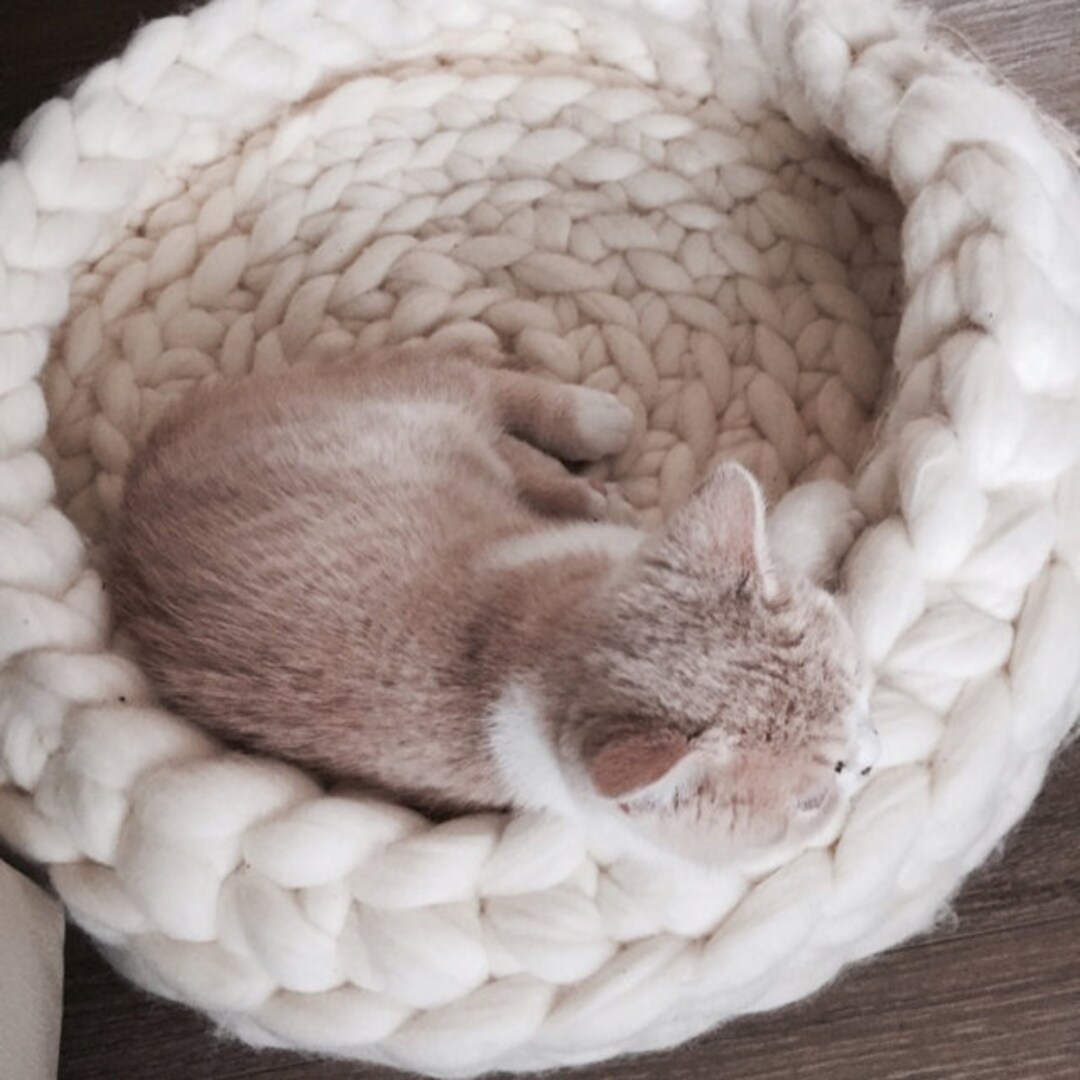 Chunky Knit Cat Bed Made With Merino Wool Etsy