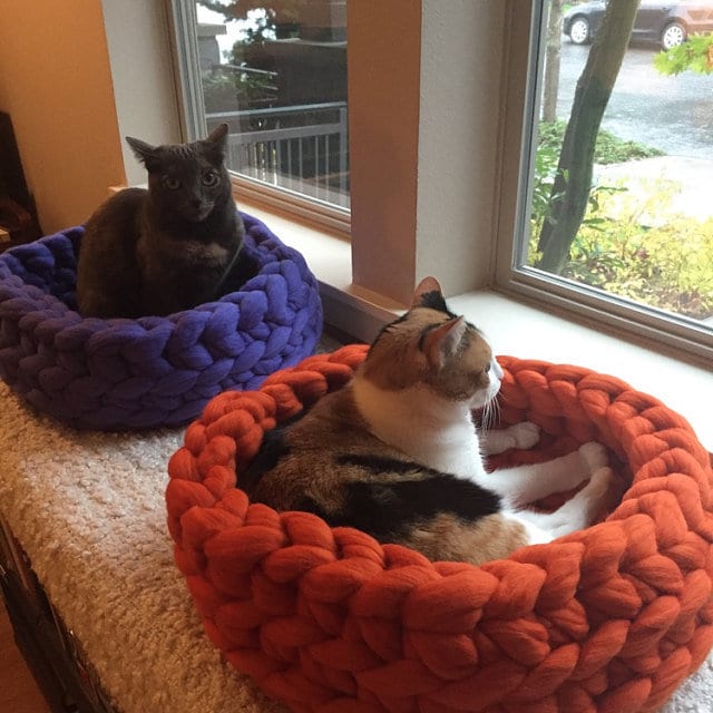 Cat Bed Chunky Cat Bed Personalized Cat Bed Personalized Etsy Australia