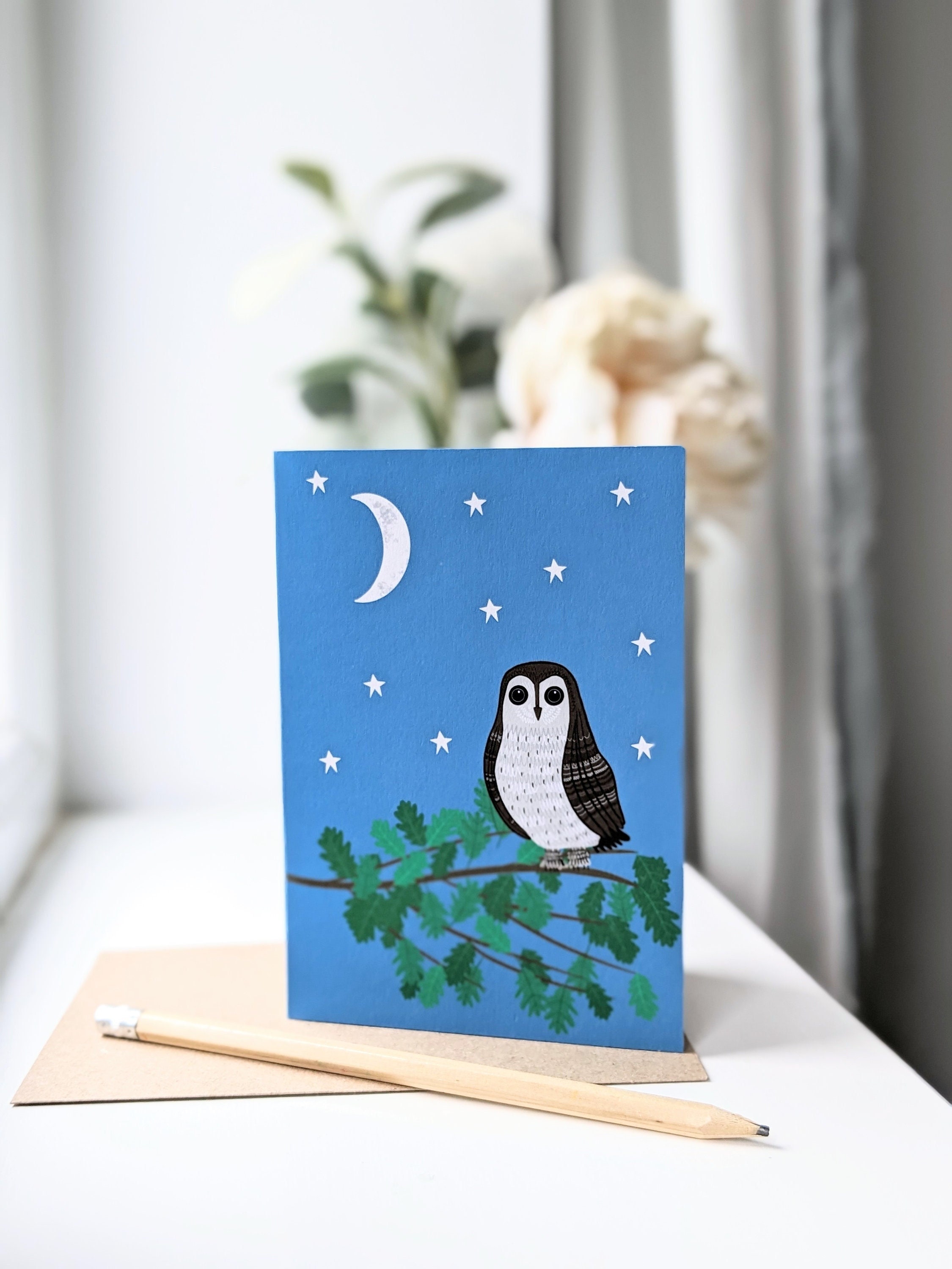 Owl birthday card | Bird lovers birthday card | Blank owl card | Plastic free cards | Garden bird bi