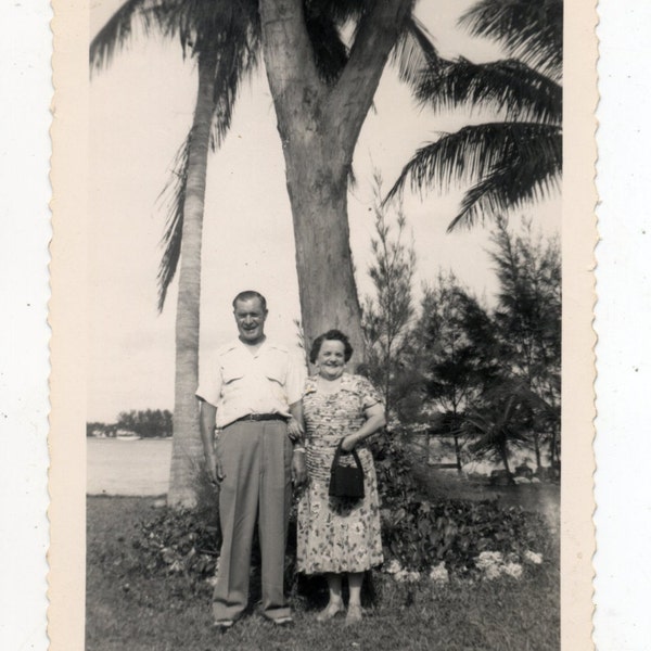 Vintage Snapshot of Couple Standing Under Palm Trees