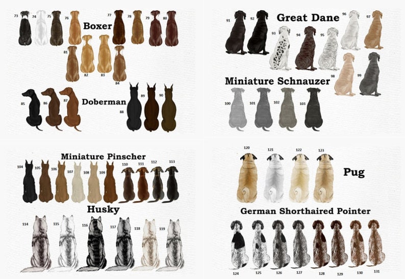 May include: A collection of dog illustrations, including Boxer, Doberman, Great Dane, Miniature Schnauzer, Miniature Pinscher, Husky, Pug, and German Shorthaired Pointer. Each breed is shown in various colors and patterns, with numbers identifying each dog.