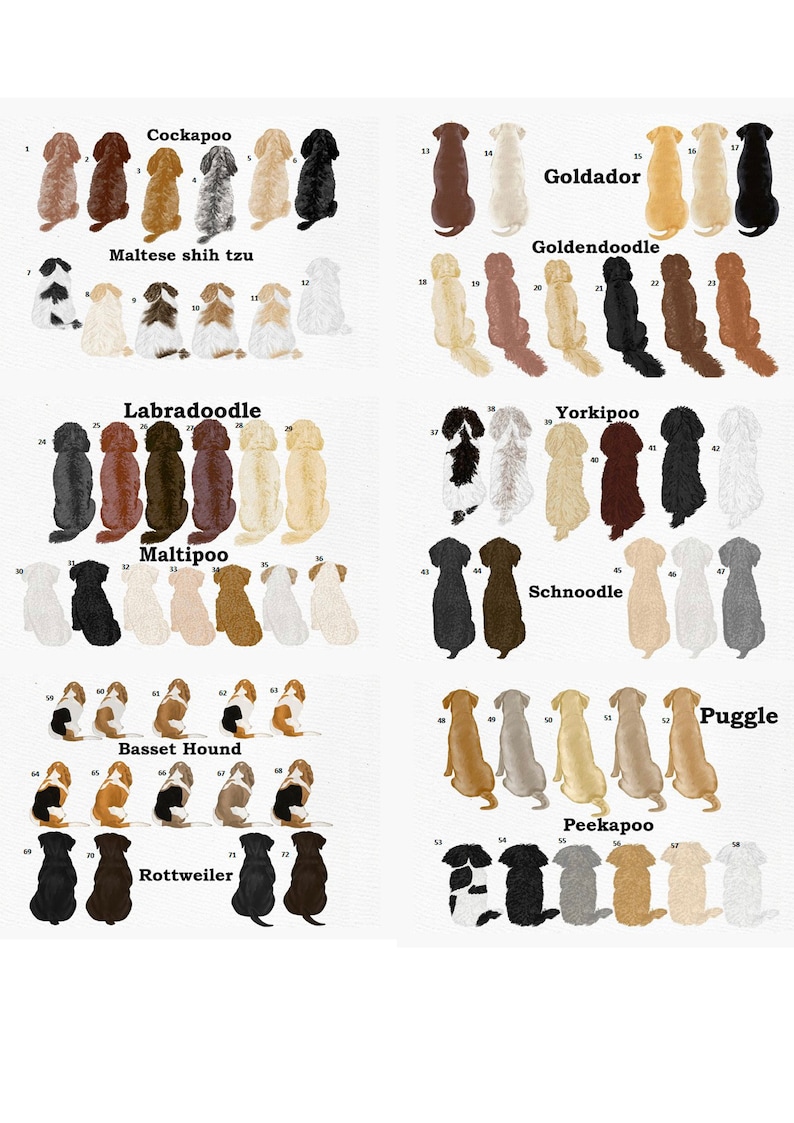 May include: A collection of dog illustrations, each depicting a different breed, including Cockapoo, Maltese Shih Tzu, Goldador, Goldendoodle, Labradoodle, Yorkipoo, Maltipoo, Schnoodle, Basset Hound, Rottweiler, Peekapoo, and Puggle. The dogs are shown in various colors.