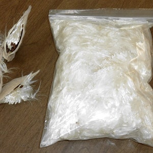 Milkweed Floss 1+ OZ Fluff deseeded no seeds organic