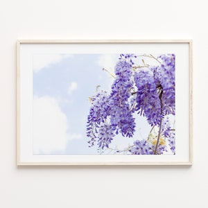 Wisteria, Blue Sky, French Country Photograph, Giverny, Travel Photography, France Fine Art Print, Floral Wall Art, DIGITAL DOWNLOAD
