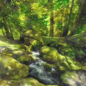 aquarelle originale de ruisseau de montagne rocheuse, aquarelle, aquarelle peinture de paysage, œuvre dart réaliste, passionné de nature, cadeau damoureux de la forêt image 1
