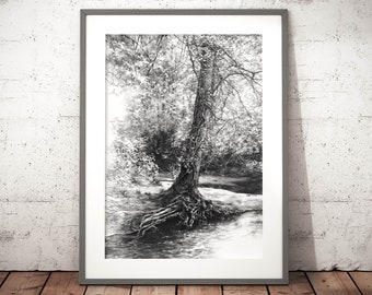 Tree wall art prints, treescape, pencil artwork print, tree hugger gift, black and white art, realistic art, nature drawing, landscape print