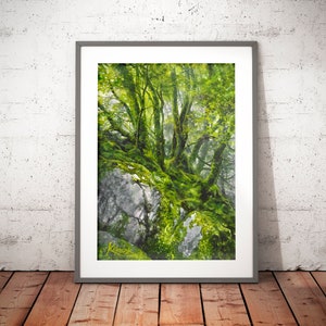 watercolor forest wall art prints, treescape, woodland painting, tree hugger gift, mossy rocks, trees watercolor, green theme pictures image 1
