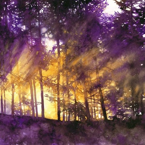 woodland landscape painting, original watercolor, purple trees watercolor painting, bedroom wall decor, sunset light, violet forest art image 1