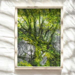 watercolor forest wall art prints, treescape, woodland painting, tree hugger gift, mossy rocks, trees watercolor, green theme pictures image 5