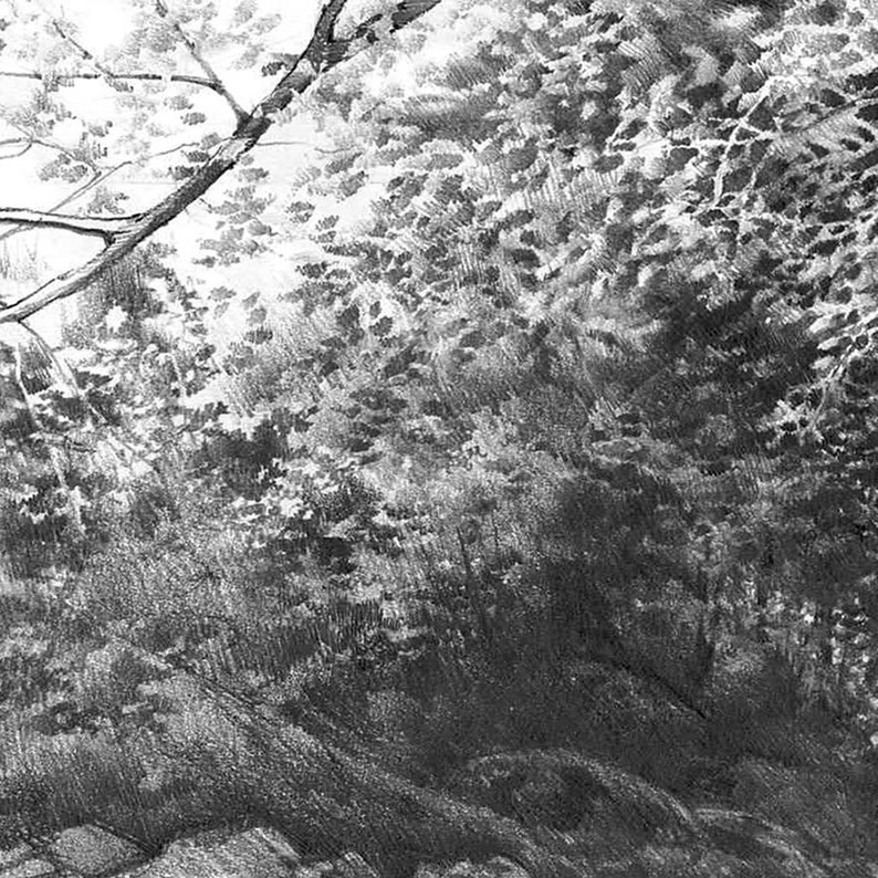 waterscape pencil trees drawing mountain river pencil landscape drawing print realistic water landscape nature sketch art print
