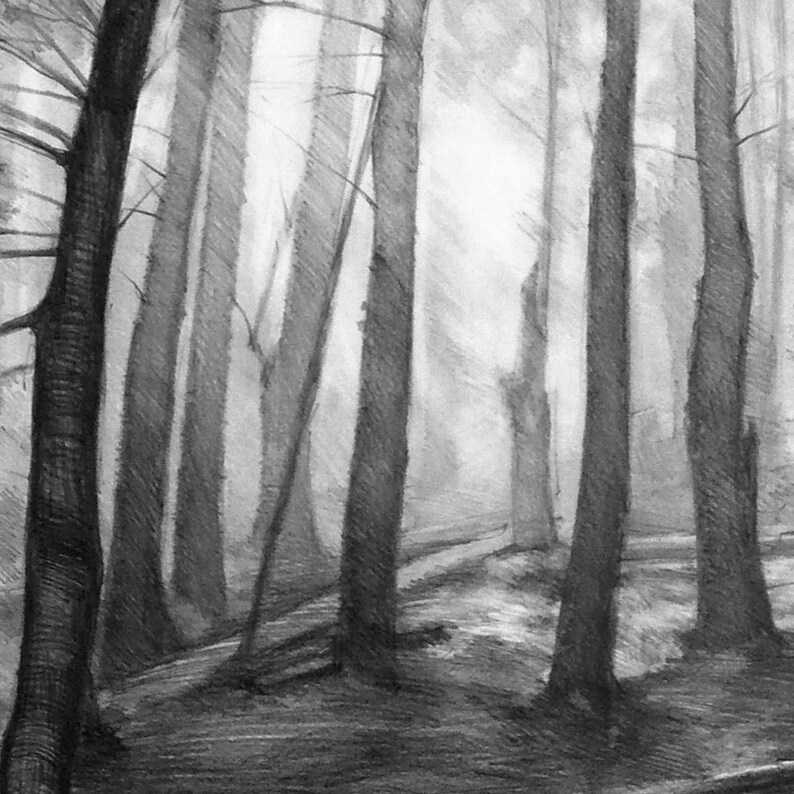 Dark forest PRINT by Katarzyna Kmiecik pencil forest Etsy