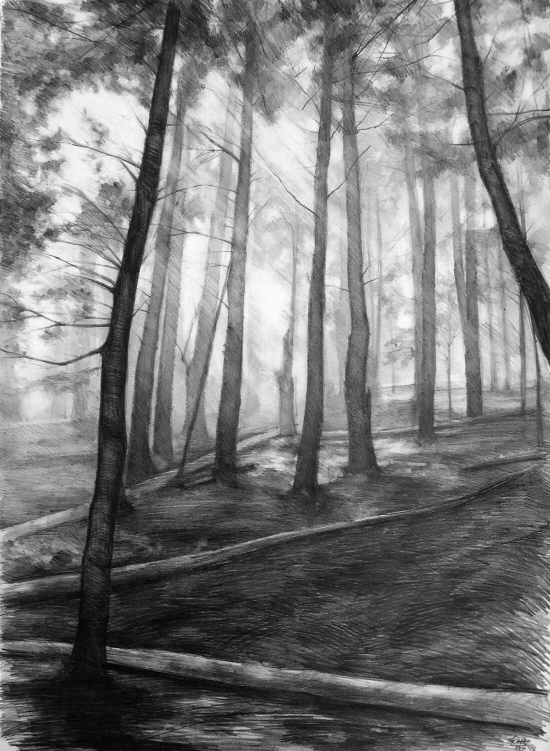 Dark Forest PRINT by Katarzyna Kmiecik / Pencil Forest - Etsy