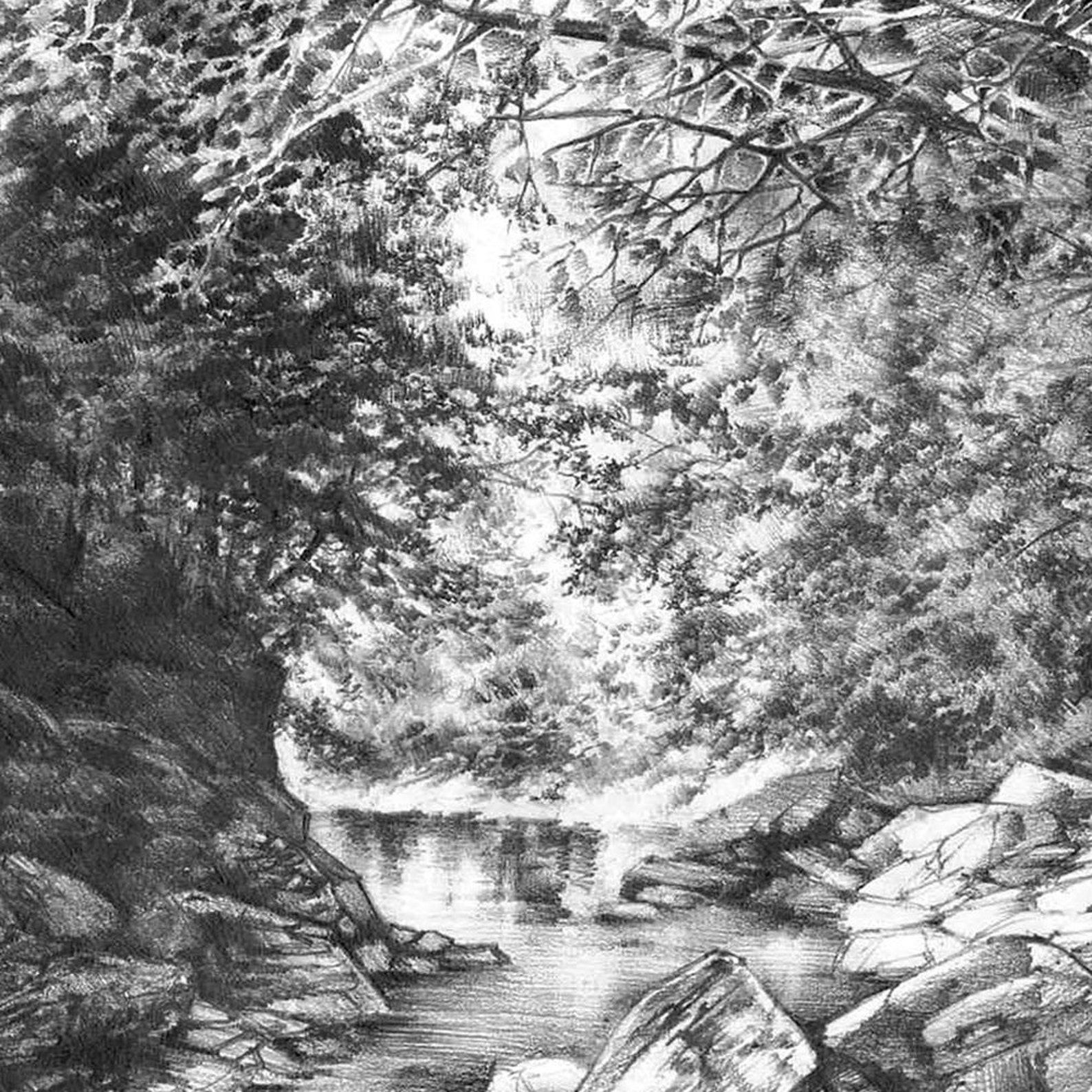 Pencil Landscape Drawing Print Realistic Water Landscape Pencil Trees