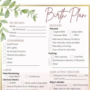 Birth Plan Template 1-pg || DIGITAL DOWNLOAD Printable >> Hospital or Birth Center Birth Preferences || Autonomous Birth Preparation, LGBTQ+