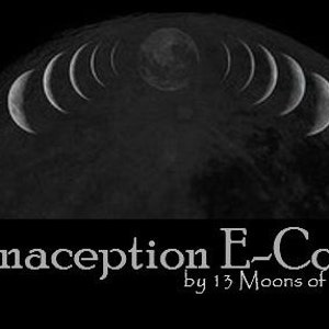 LUNACEPTION E-COURSE + Fertility Charts + 1-on-1 Support || Digital PDF || Fertility, Conception, Contraception, Moontime, Womb Health