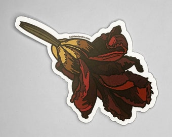 Daylily Vinyl Sticker