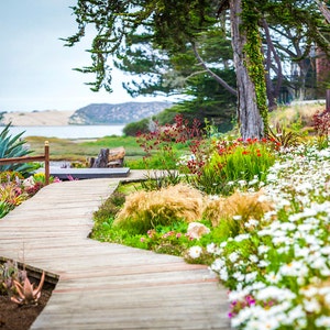 May include: A wooden boardwalk winds through a vibrant garden filled with colorful flowers and lush greenery. The path leads towards a body of water and a distant shoreline under a cloudy sky. Various plants and trees frame the scene.