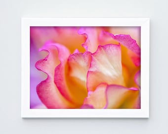 Pink Rose Petals, Digital Download, Flower Wall Art, Home Decor, Fine Art Photography,