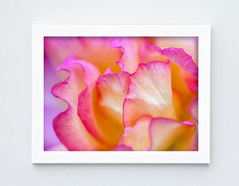 Pink Rose Petals, Digital Download, Flower Wall Art, Home Decor, Fine Art Photography, image 1